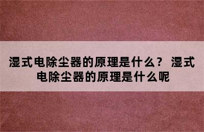 湿式电除尘器的原理是什么？ 湿式电除尘器的原理是什么呢